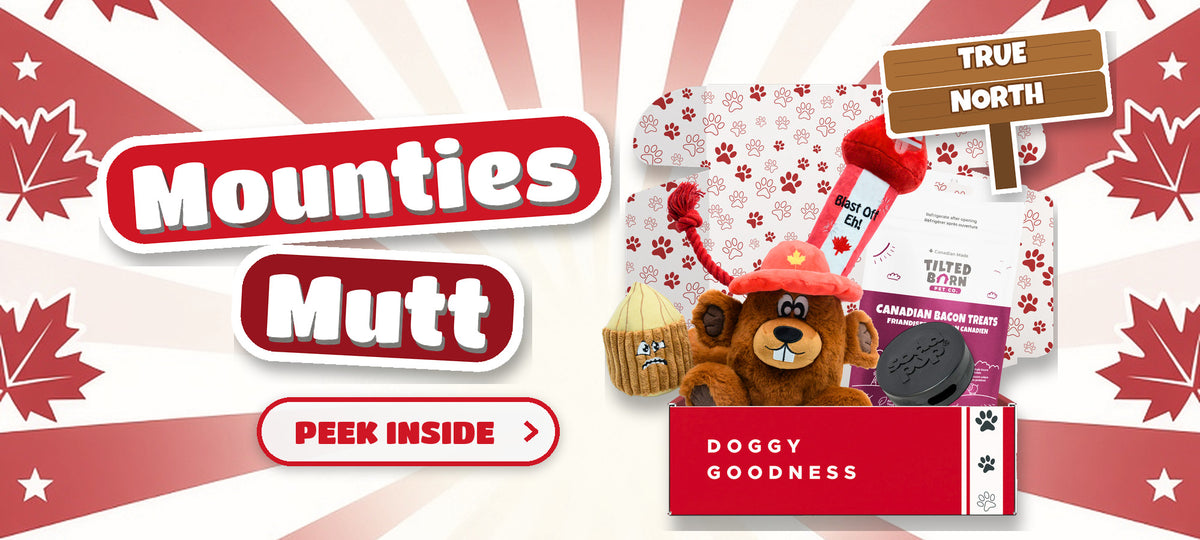 WoofCrate Mounties Mutt Canada themed dog subscription box with dog toys and treats