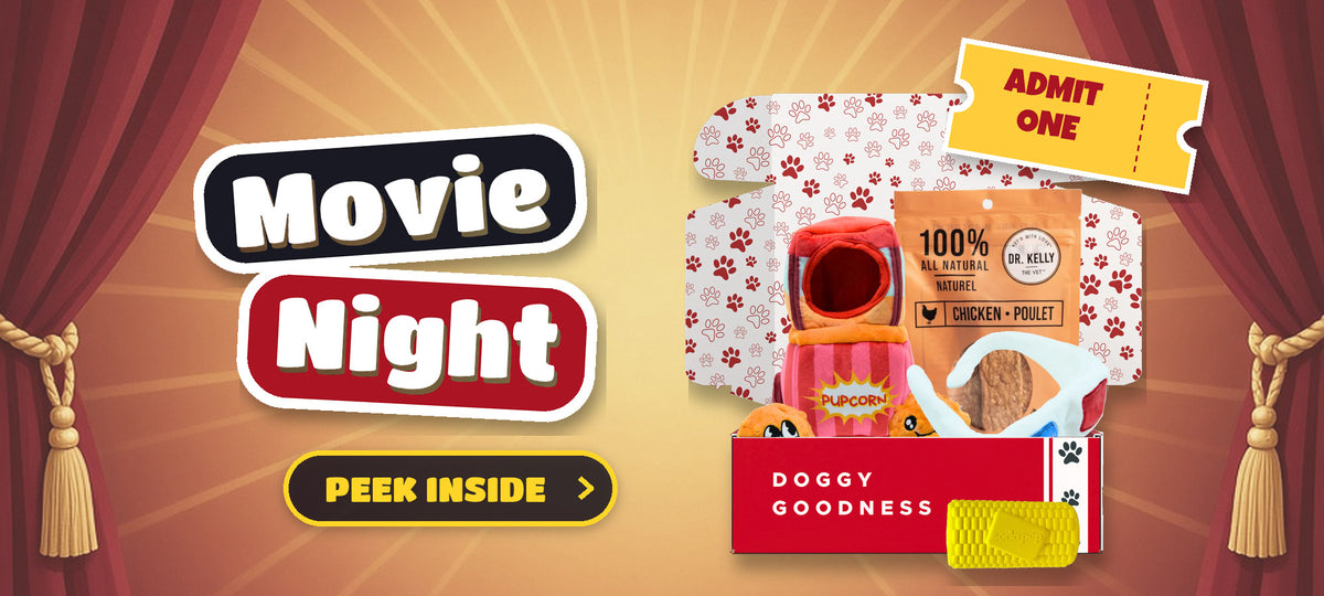WoofCrate Movie Night themed dog subscription box with dog toys and treats
