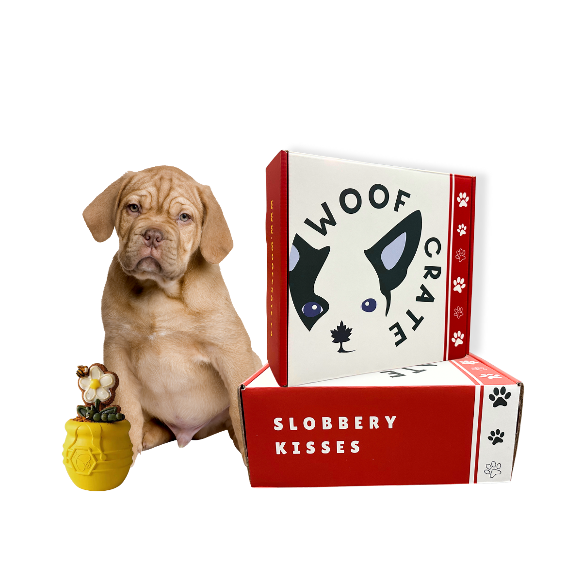 WoofCrate Premium Monthly Dog Subscription Box In Canada