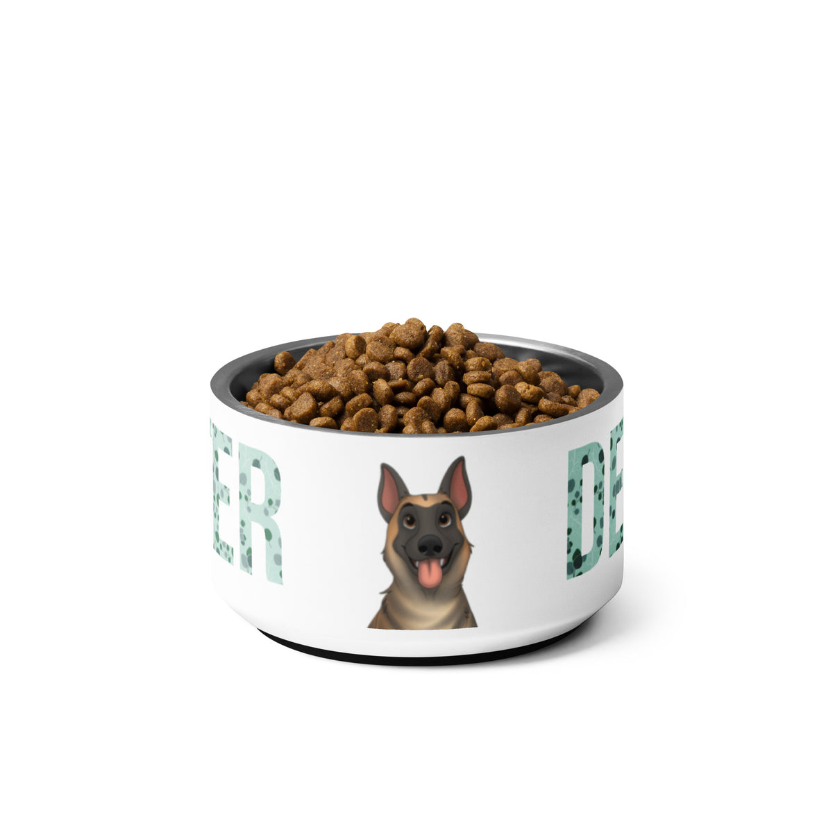 Custom Pet Bowl- Cartoon