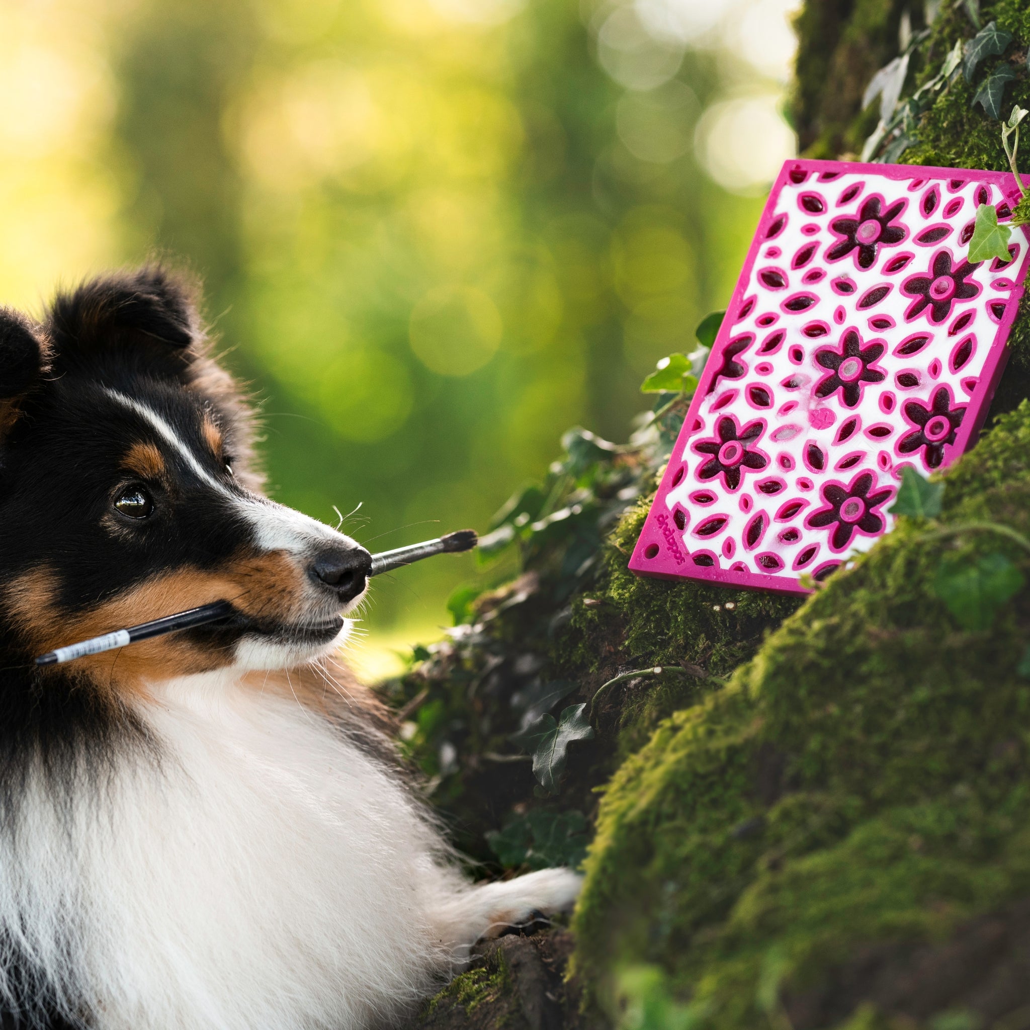 Shetland Sheepdog holding a paintbrush, gazing at a pink flower pattern on a canvas-like mat