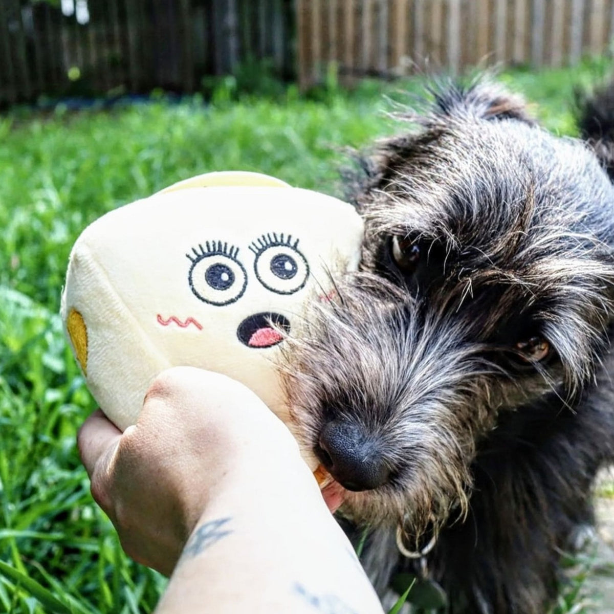 plush cheese dog toy being given to a dog. 