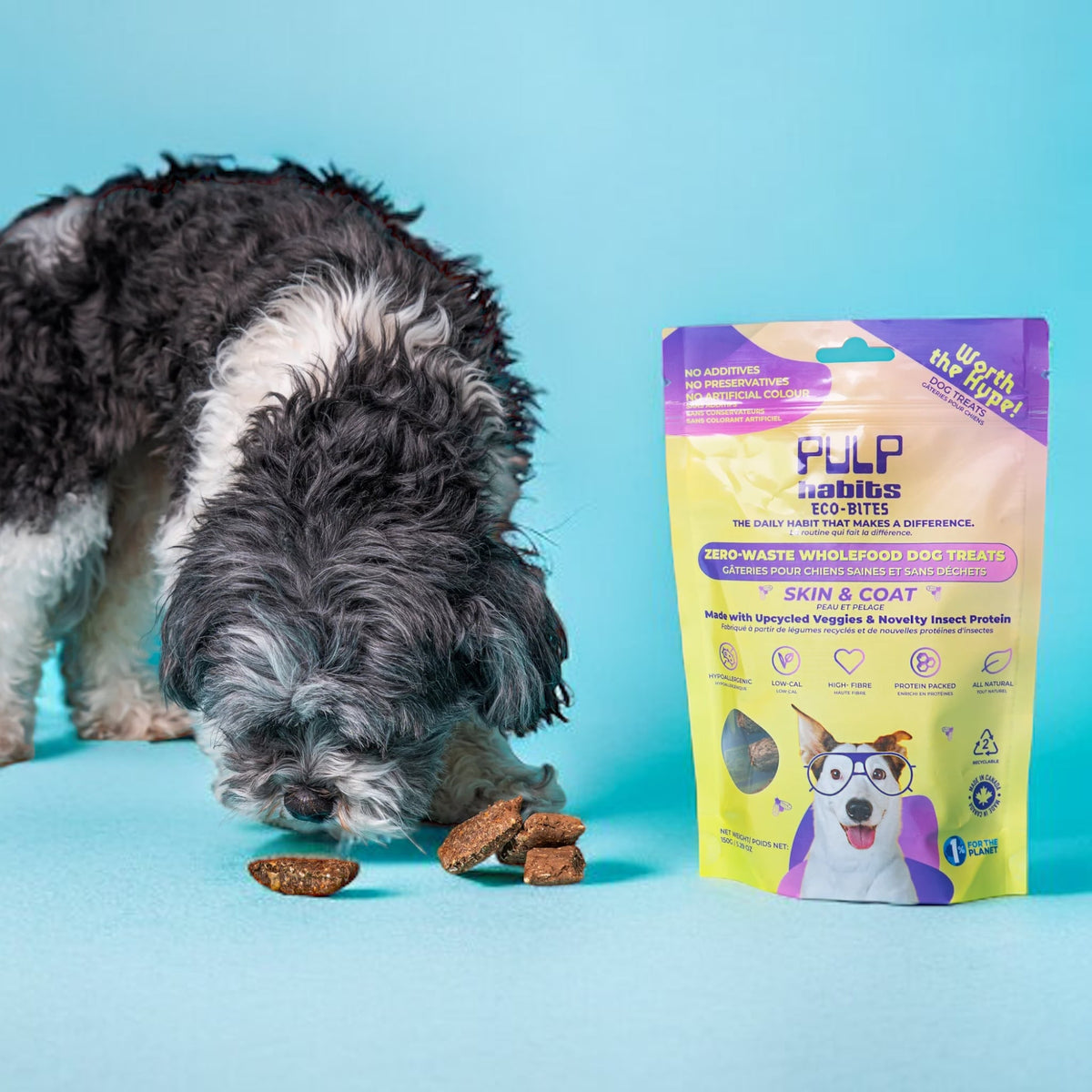 Pulp habits skin and coat dog treats beside a black and white dog sniffing the treats that are outside of the bag.