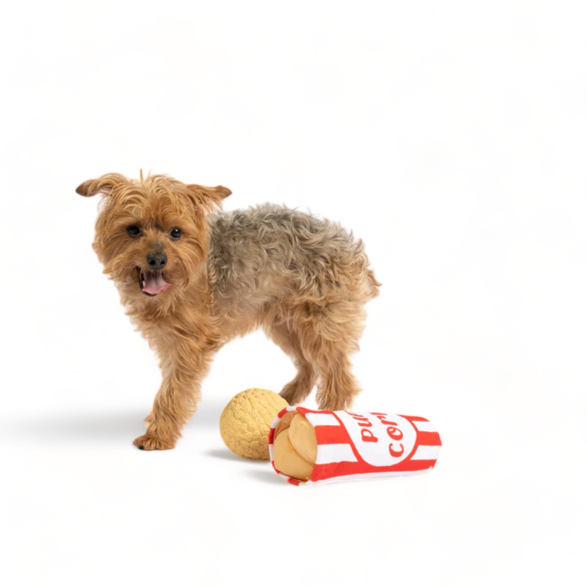 Jouet en peluche pour chien Pupcorn