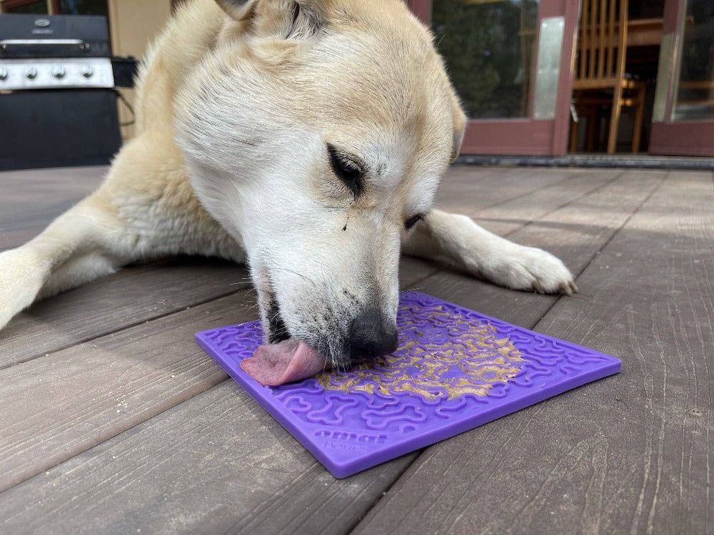 White dog licking a purple Bones lick mat