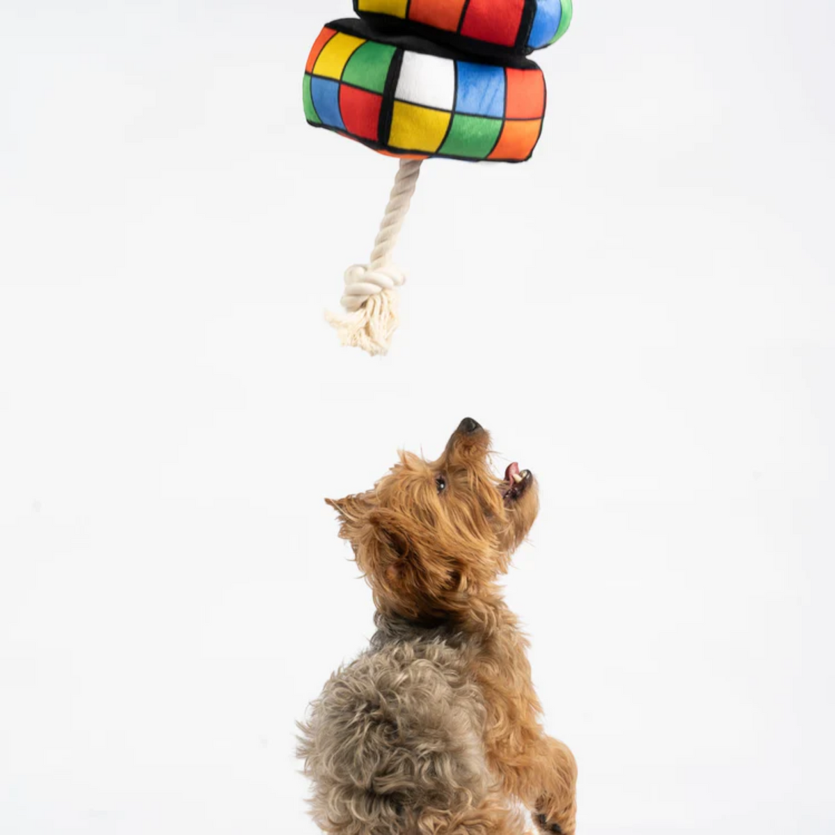 Robix Cube Dog Toy