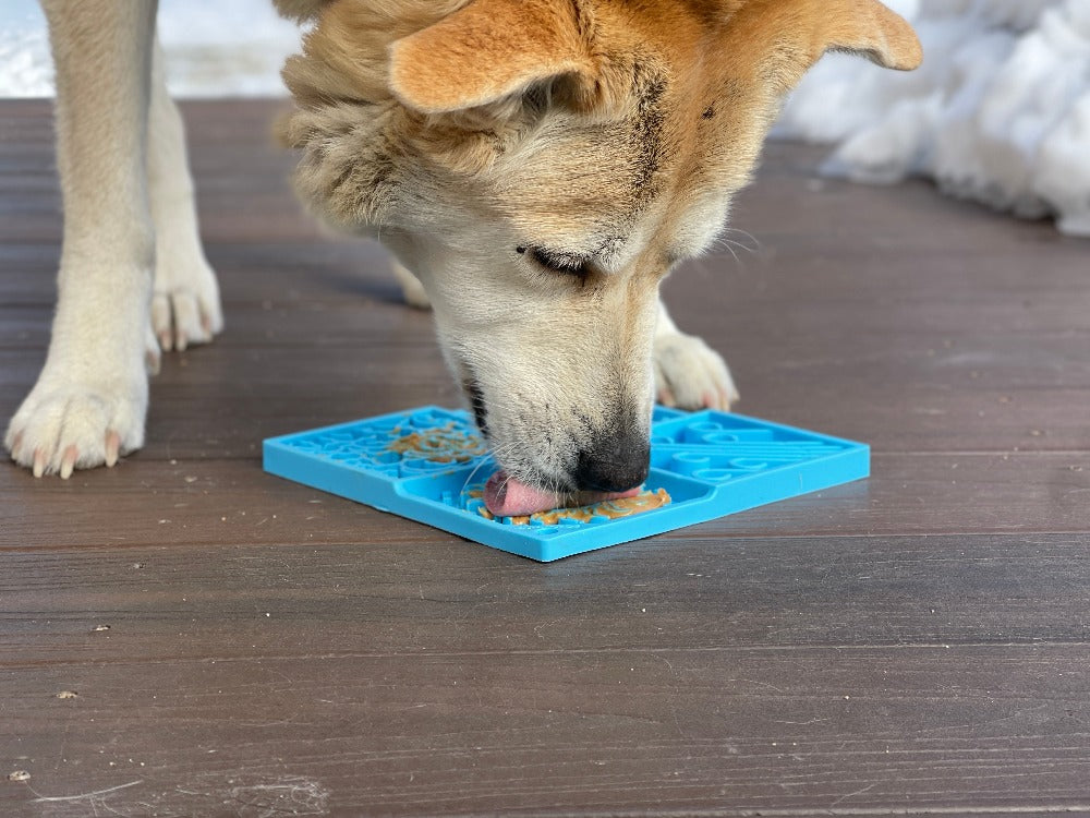 Dog licking a blue Sky lick mat