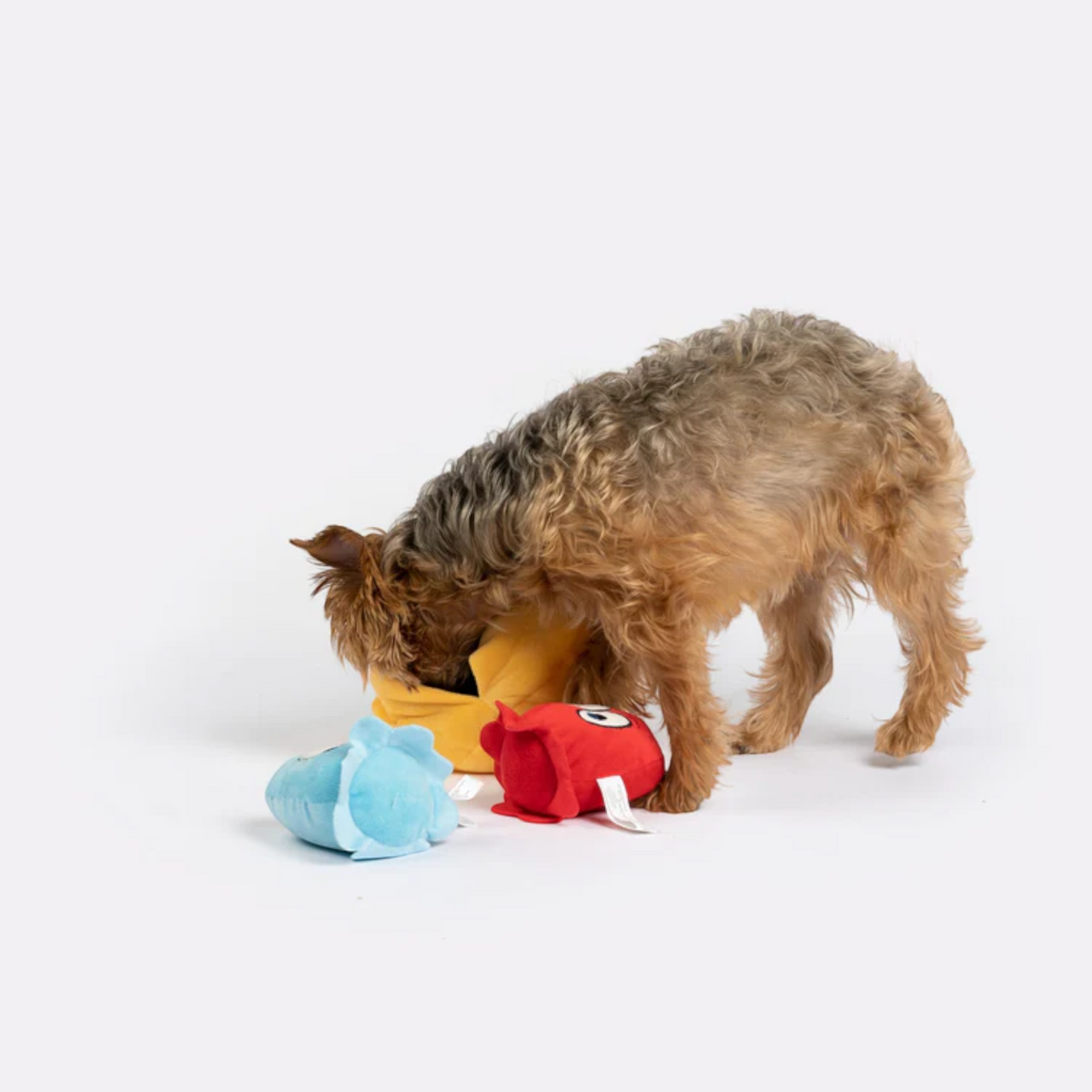 Jouet en peluche pour chien Snackman