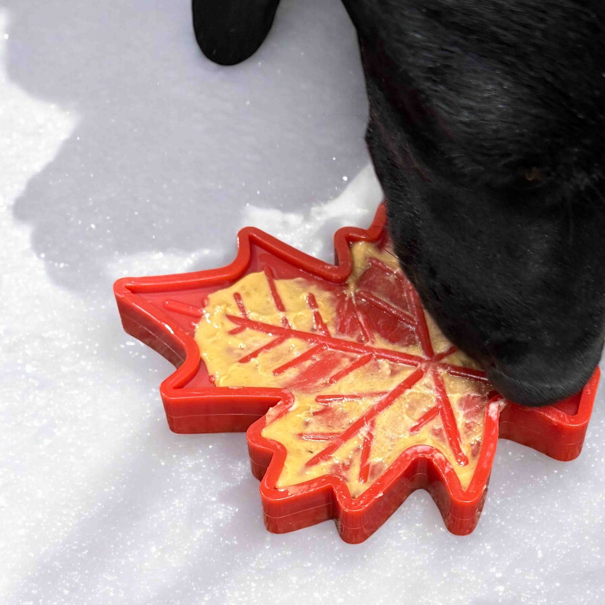 Close-up of the red SodaPup Maple Leaf nylon chew toy in the snow