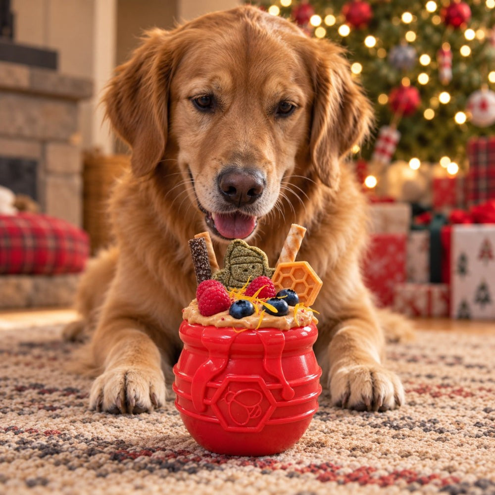 Golden retriever with a red SodaPup Honey Pot filled with treats