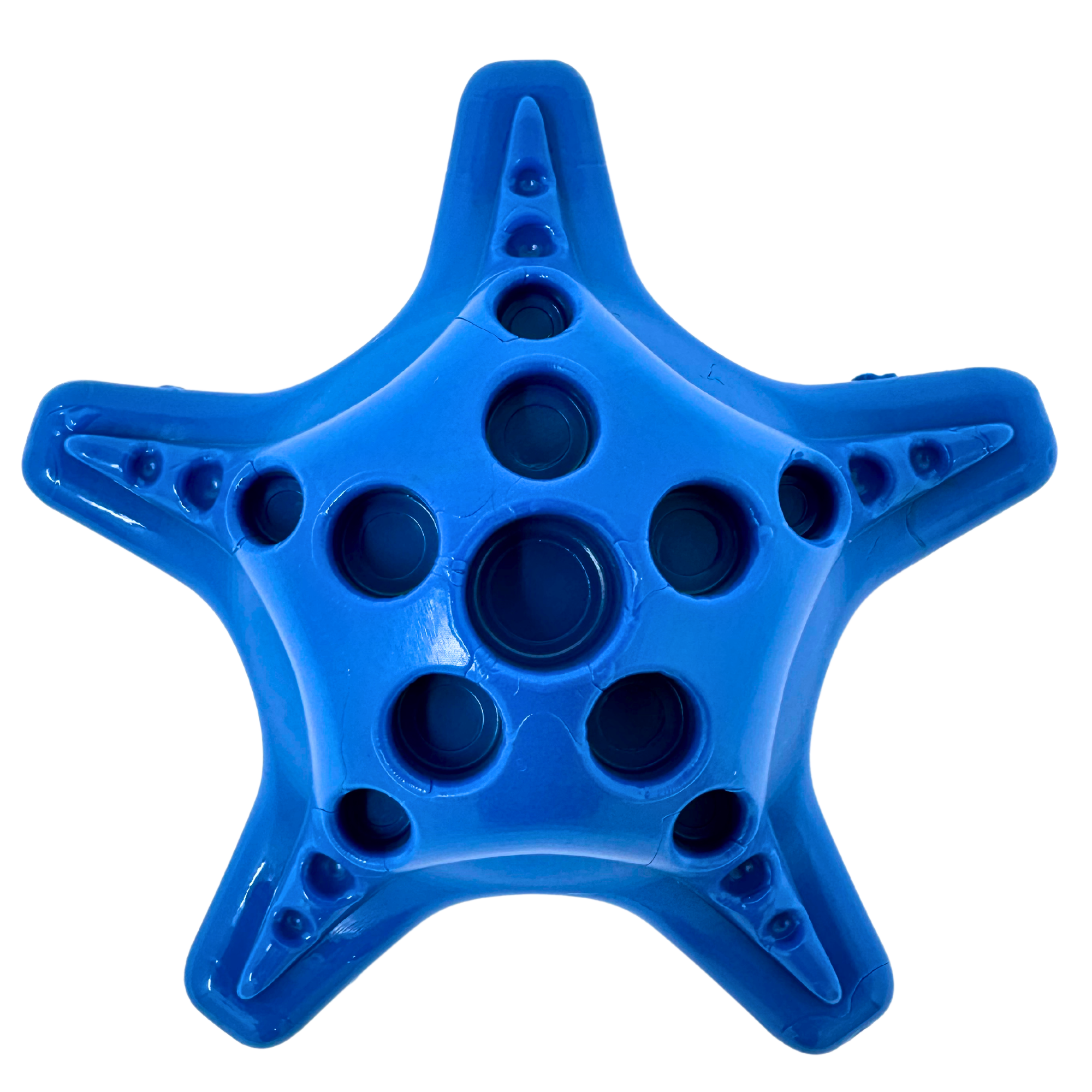 Star-shaped blue dog toy with raised edges and varied hole sizes