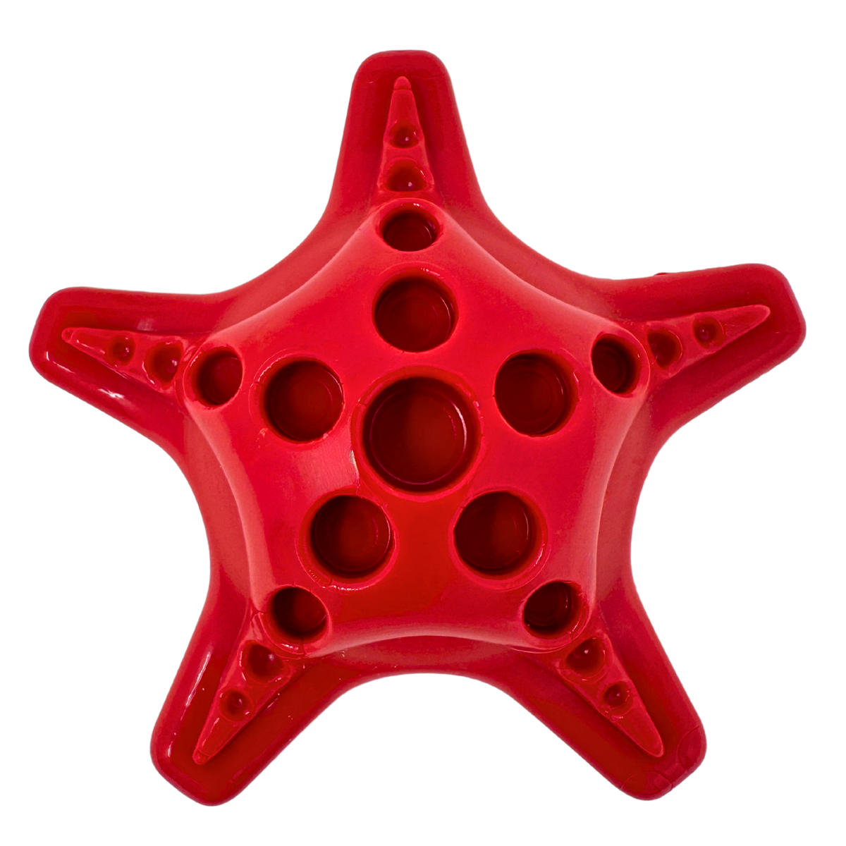 Starfish Durable Nylon Chew Toy