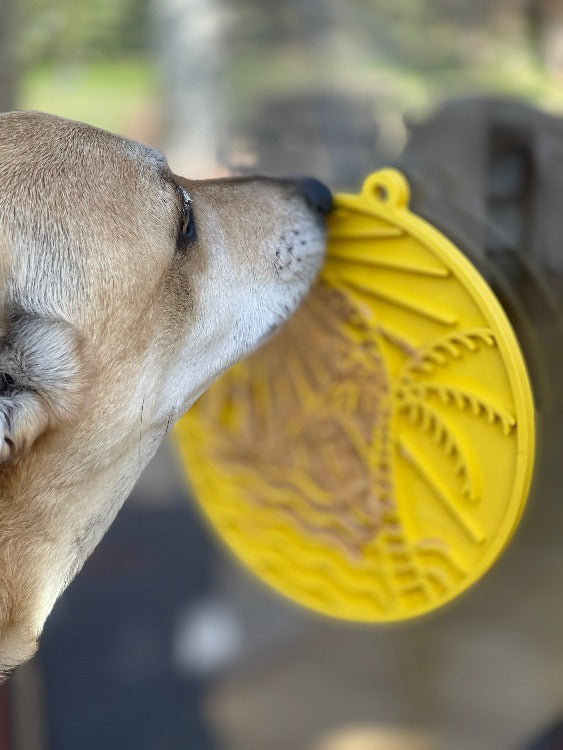Dog licking a yellow Sun n' Sea lick mat stuck to a wall