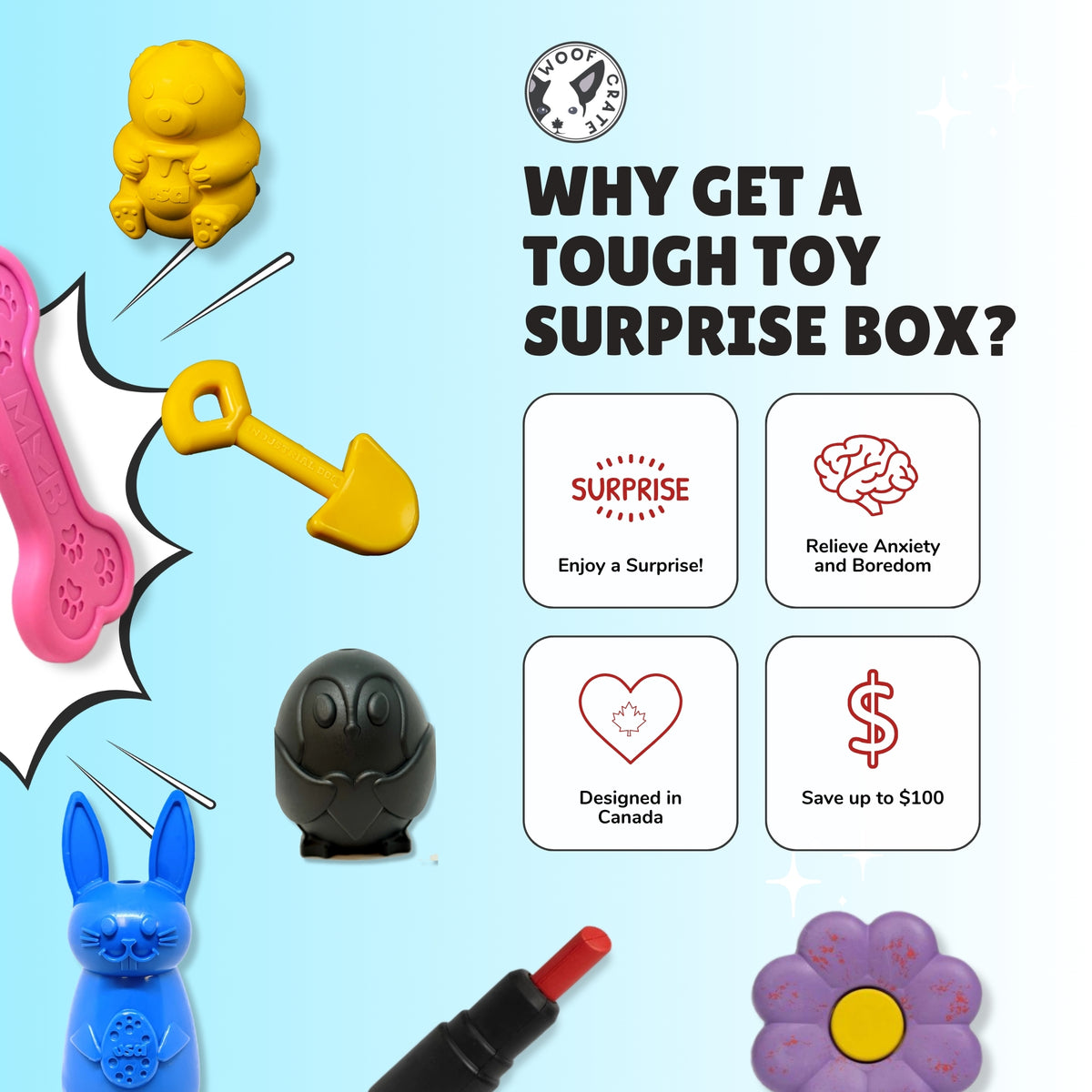 Surprise Box of Super Durable Dog Toys