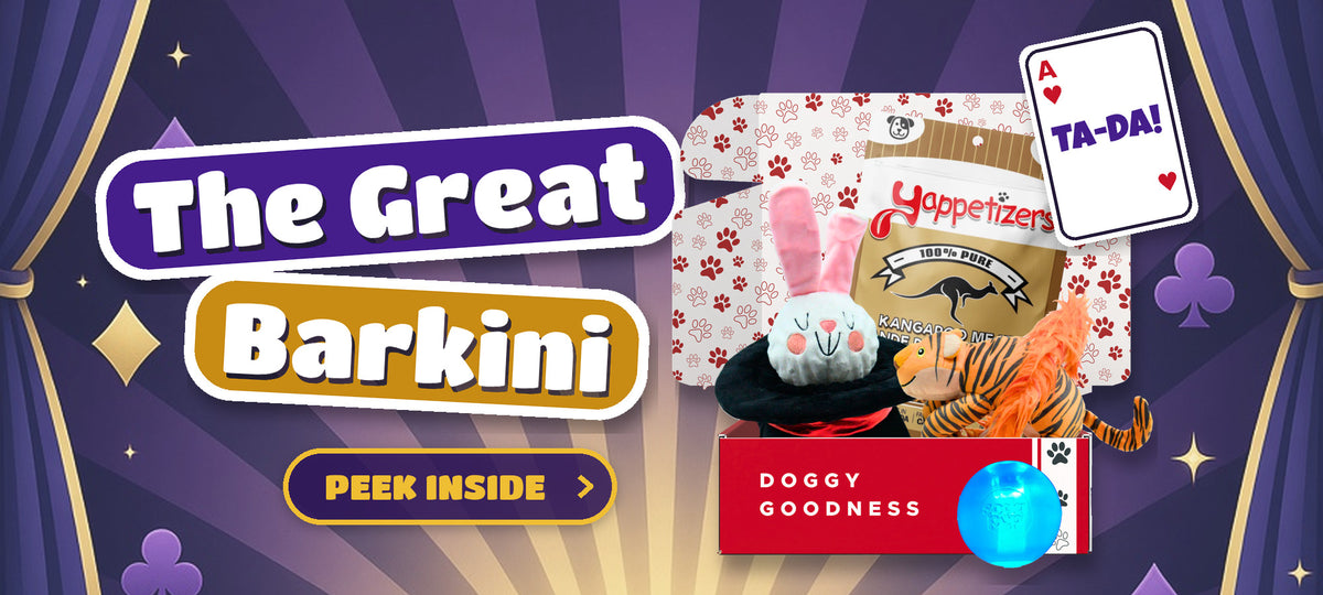 WoofCrate The Great Barkini magic themed dog subscription box with dog toys and treats