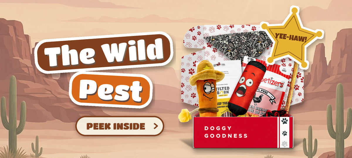 The Wild Pest Wild West themed WoofCrate dog box with toys and treats, Peek Inside