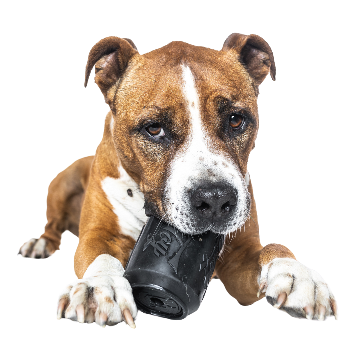 Tough Rubber Dog Toys WoofCrate