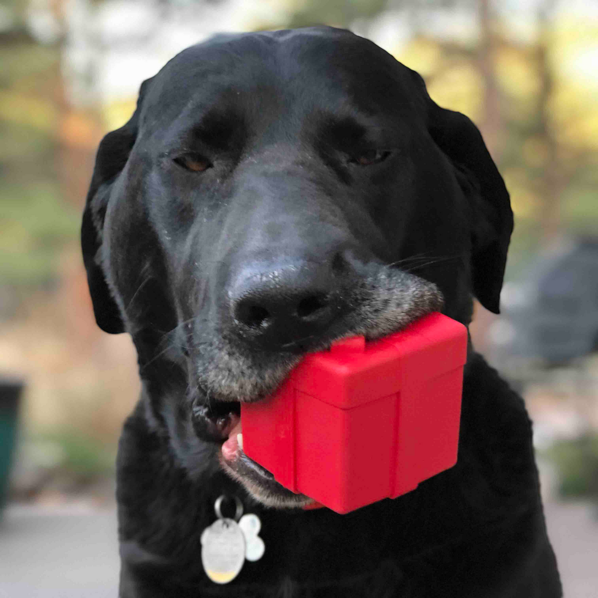 Gift Box Durable Rubber Treat Dispenser