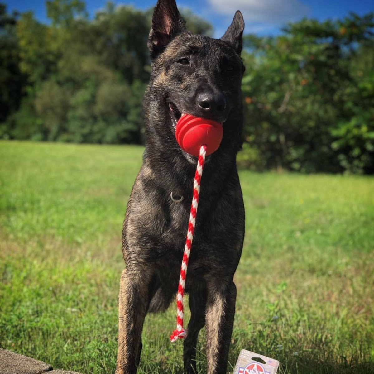 Jouet pour chien en caoutchouc durable Tug Ball K9