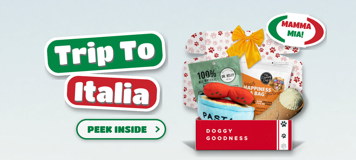 Trip To Italia Italian themed WoofCrate dog box with toys and treats, Peek Inside