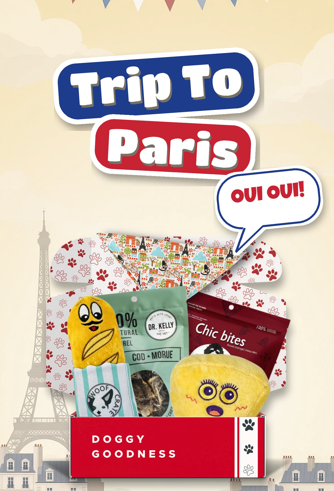 Trip To Paris French themed WoofCrate dog box with toys and treats