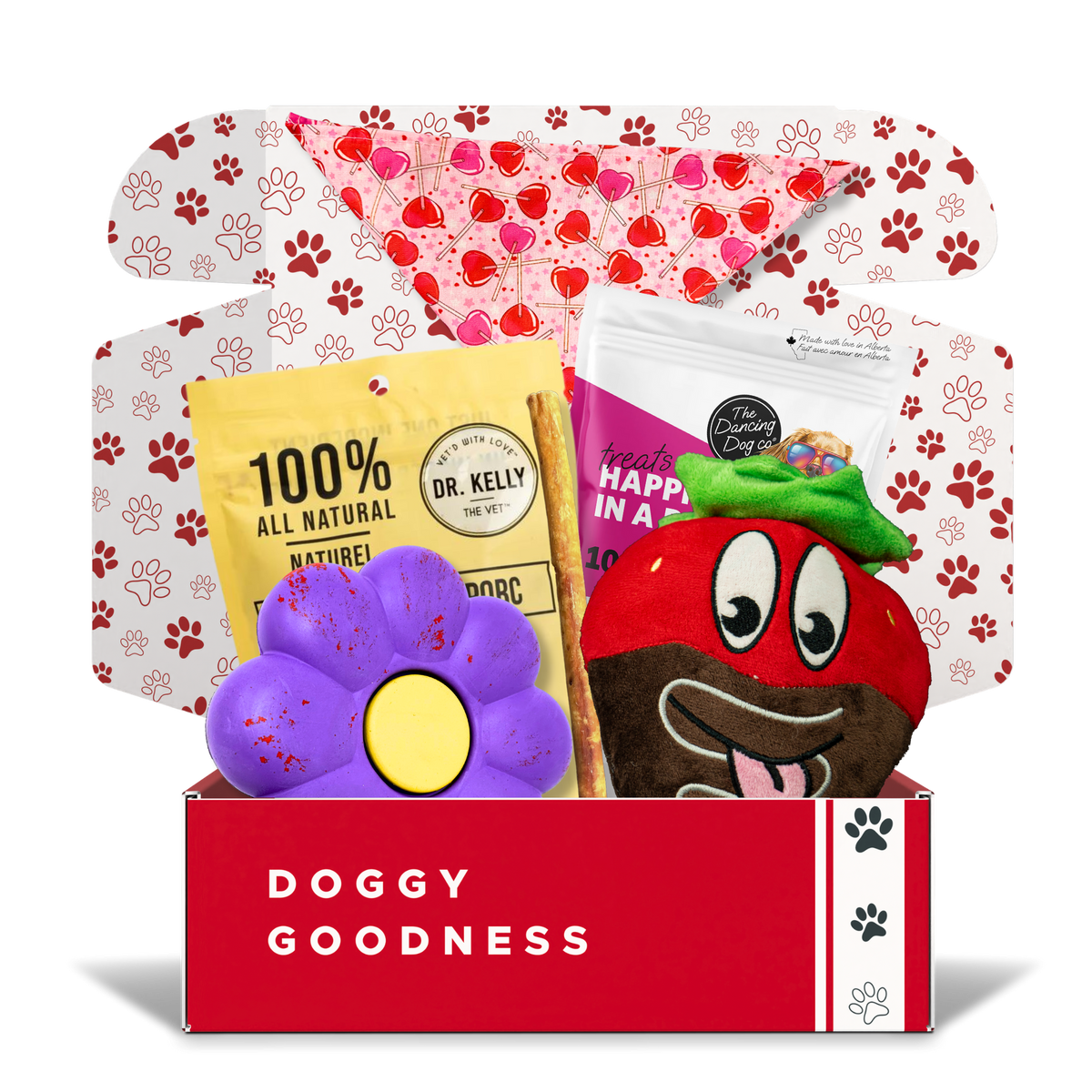 Coffret pour chien sur le thème de la Saint-Valentin