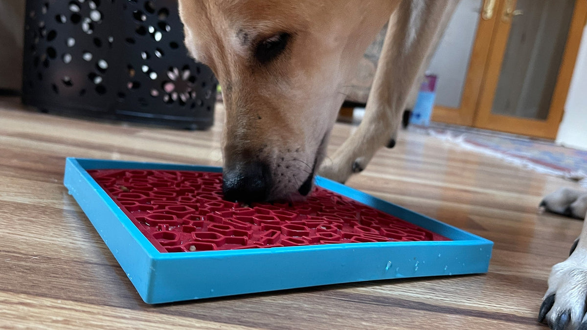 Dog licking a red Vino lick mat