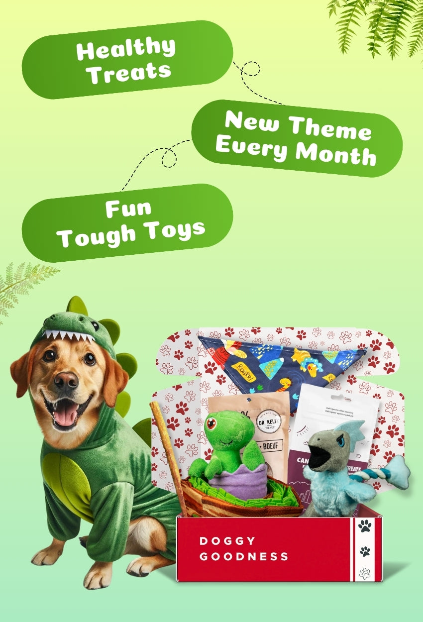 Dog in dinosaur costume beside WoofCrate box with banner text: Healthy Treats, New Theme Every Month, Fun Tough Toys