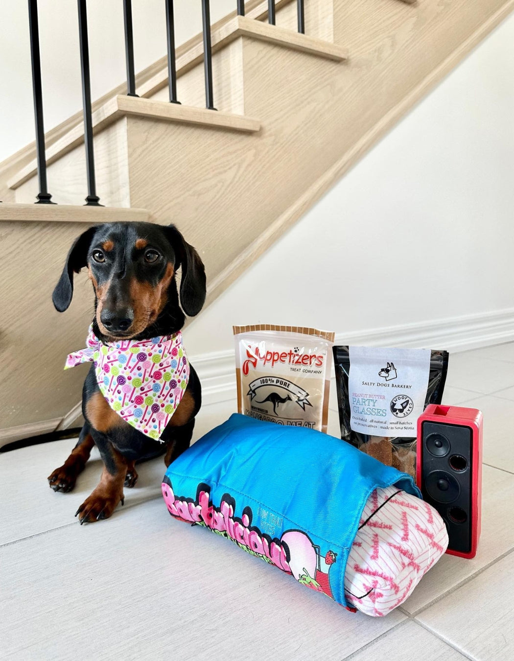 Dog subscription box for multiple dogs hotsell