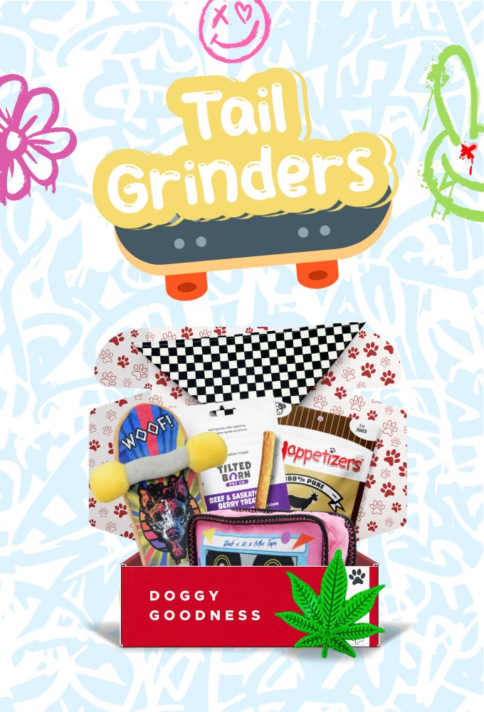 WoofCrate Tail Grinders dog subscription box with skateboarding-themed plush toy, natural treats, and checkered bandana