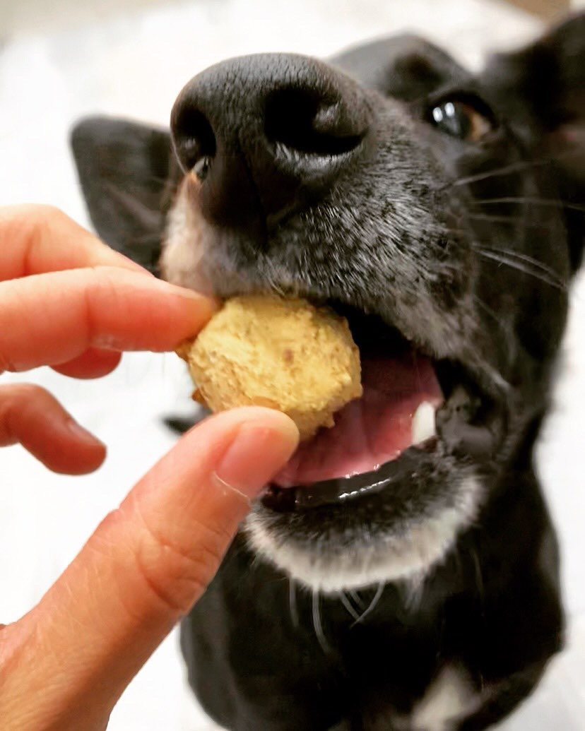 Whole Dog Beef Liver Treats