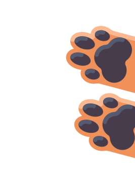 Dog_Paws_Reaching