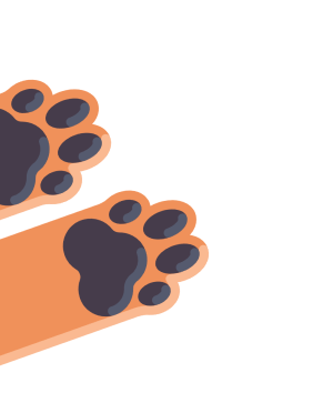 dog_paw_4