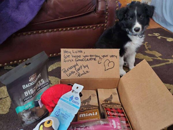 Woofcrate reviews legit instagram facebook canadian dog subscription company with best organic treats and tough toys monthly canada themes