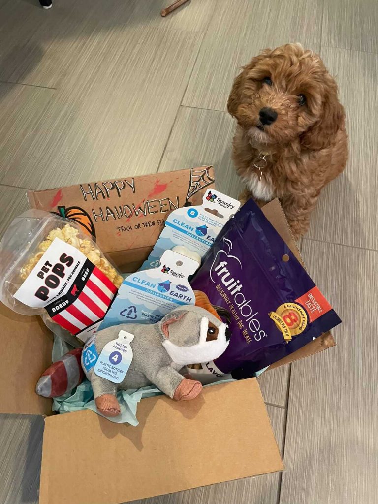 monthly-canadian-dog-subscription-box
