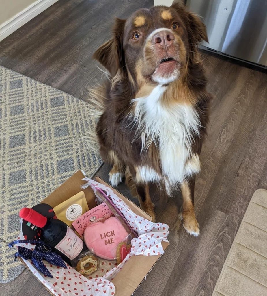 Woofcrate Dog Subscription Box Canada